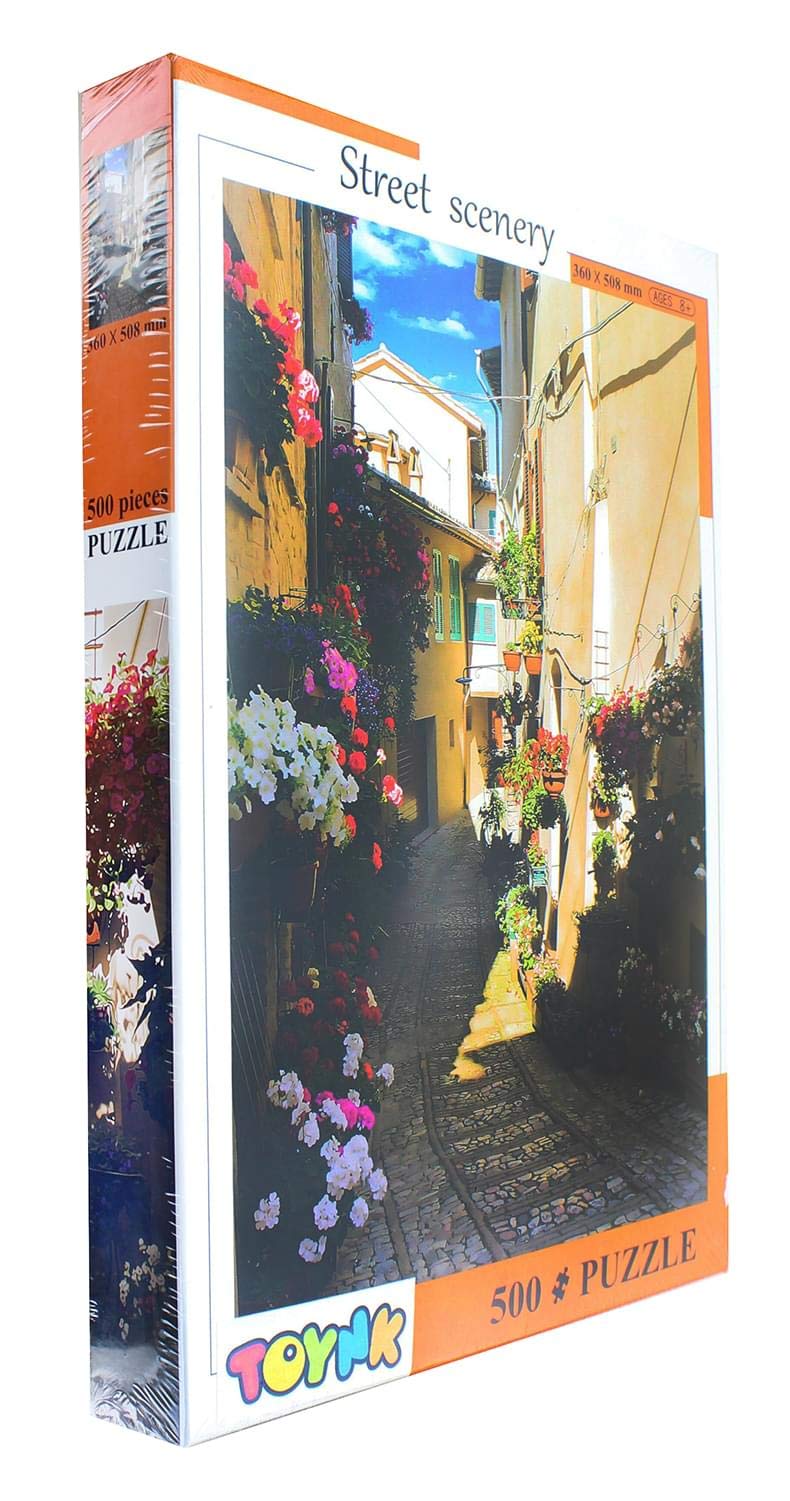Street Scenery Village Street 500 Piece Jigsaw Puzzle