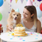MTLEE Happy Birthday Candles Letter Cake Topper with 10 Pcs 2.95 Inch Short Thin Spiral Candles for Cake Topper Birthday Decorat