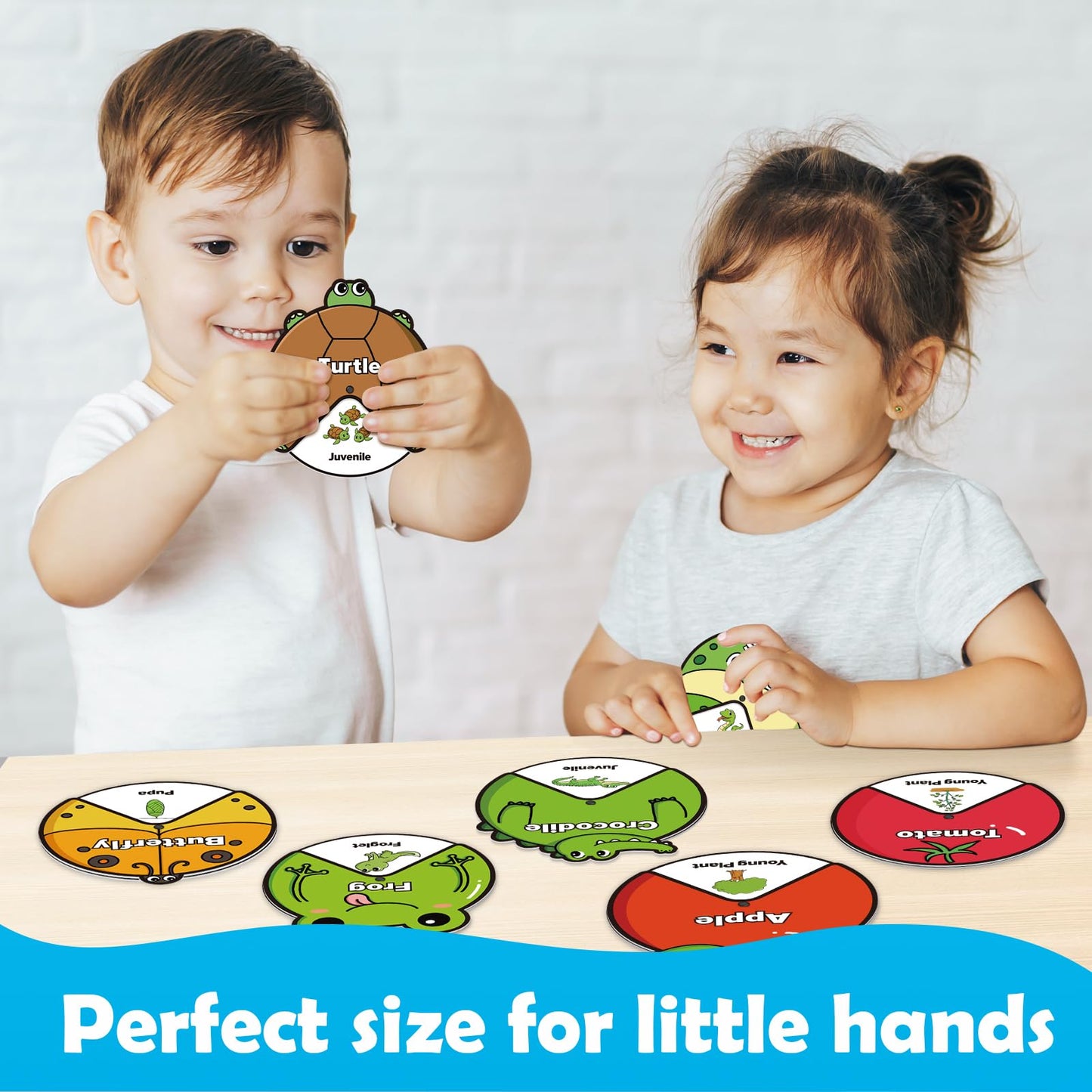 Kasfalci Life Cycle Toys For Kids,Animal Plant Insect Bug Ladybug Butterfly Tadpole To Frog Kit,Montessori Learning & Education