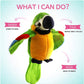 9'' Cute Talking Parrot Repeats What You Say Electronic Interactive Plush Toy Stuffed Animal Record Parrot Waving Wings Funny Bird Toys For Children Girls Boys Best Xmas Gift (Green Parrot)