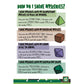 9th Level Games: Nancy Druid - Softcover RPG Book, Polymorph, Magic Mysteries & Merit Badges, Solve Natures Cutest Mysteries, A