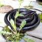 Brandon-super 52 Realistic Black Rubber Snake - Scare Toy for Halloween, Pranks, and Decorations, Large Size