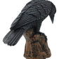 Ebros Gift Gothic Macabre Edgar Poe Perching Raven On Rock Figurine 5' Tall Gothic Crow Scavenger Bird Decor Sculpture