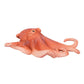 Mojo Octopus Realistic International Wildlife Hand Painted Toy Figurine