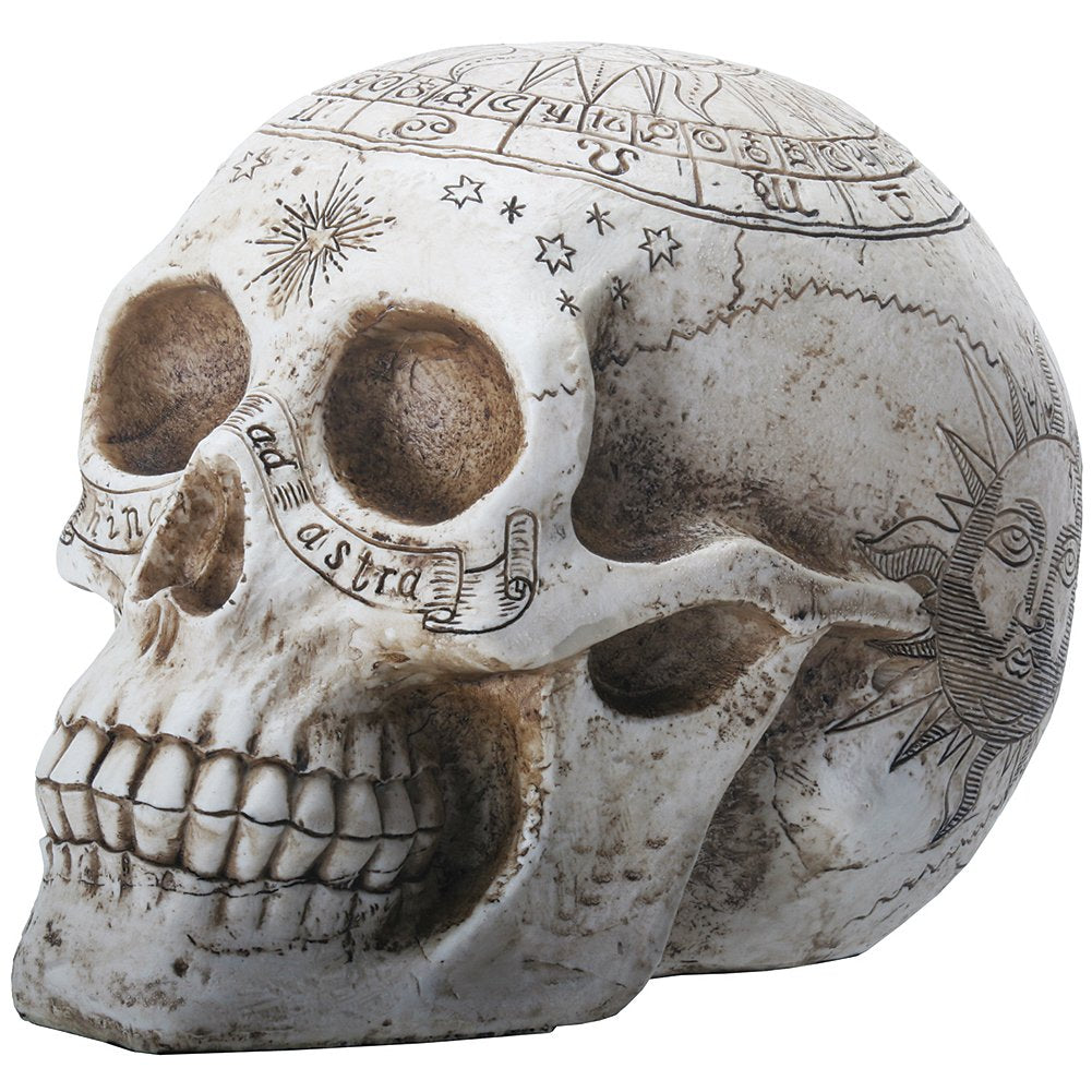 YTC 7.75 Inch Resin Skull with Astrology Engravings, White Colored