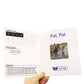 Junior Learning Letters & Sounds Phase 2 Set 2 Non-Fiction, Multi