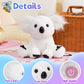 Glow Guards 10'' Plush White Koala LED Stuffed Animal with Rainbow Night Lights - Ideal Gift for Toddlers and Kids