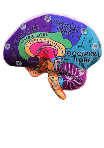 GIANTmicrobes Brain Model - Plush 3D Human Brain Anatomy Toy in Pink for Kids & Neuroscience Education