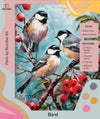 Tulip N Turtle Trio Bird Framed Canvas Diy Acrylic Paint By Number Kit For Adults Beginner Canvas Painting By Number Acrylic Pai