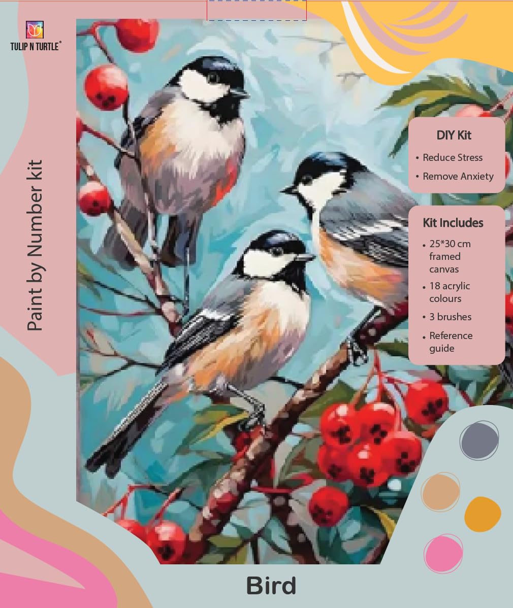 Tulip N Turtle Trio Bird Framed Canvas Diy Acrylic Paint By Number Kit For Adults Beginner Canvas Painting By Number Acrylic Pai