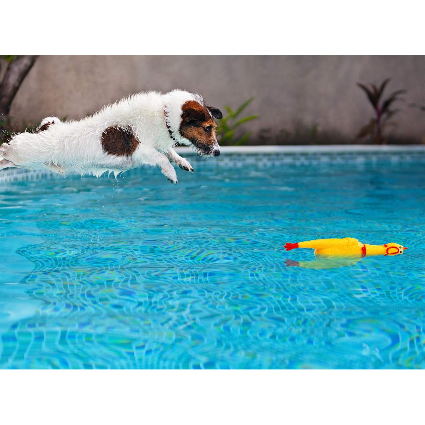 Rubber Chicken Screaming Chicken Squeaky Chicken Noise Shrilling Shrieking Squawking Chicken Noisemaker Novelty Gadget for Dogs Pets (11.8 Inch  10 Packs)