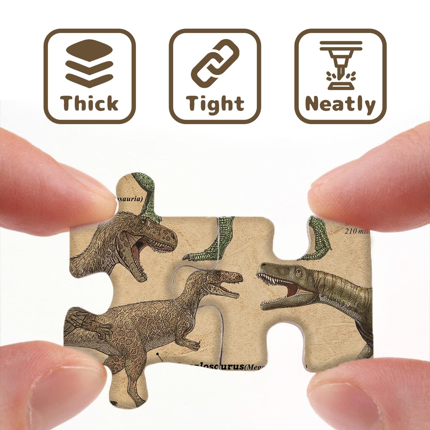 Dinosaur Puzzle 1000 Pieces for mature-themed  Vintage Jigsaw Puzzles Includes Major Dinosaur Groups  Animal Puzzle as Souvenir