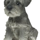Ebros Realistic Miniature Schnauzer Puppy Statue 5.75' Tall Animal Dog Collectible Lifelike Schnauzer Figurine Decor