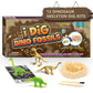 Byncceh Dinosaur Fossil Digging Kit for Kids - Excavate 12 Prehistoric Bones, Includes Glow in The Dark Dino Fossil - STEM Educa