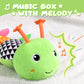 Awotoy Baby Toys 0 To 12 Months, Musical Stuffed Animal Activity Soft Toys With Multi-Sensory Crinkle, Rattle And Textures, Infant Tummy Time Toys For Newborn Boys Girls, Caterpillar, Green