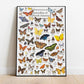 BBOLDIN Colorful Butterfly Puzzle - 1000 Piece Jigsaw for Adults, Cardboard Material, Perfect for Animal Puzzle Lovers