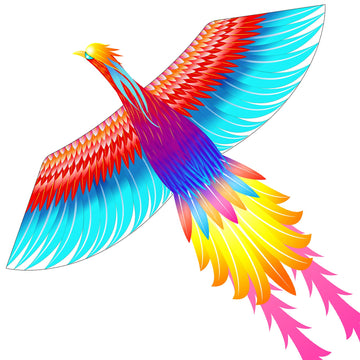Mint’S Colorful Life Rainbow Phoenix Kite For Kids And Adults, Easy To Fly Large Beach Kites