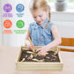 Xylolin Dinosaur Excavation Kit - Sensory Bin Toys for Kids, Medium Size, Brown, Includes Dino Skeletons and Bones Puzzle Game
