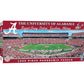 Alabama Stadium Panoramic