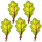 Hadckja Green Leaf Balloon Thanksgiving Balloons Green Leaf Balloons Fall Harvest Thanksgiving-Themed Party Birthday Party Suppl