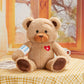 Houwsbaby 12 Get Well Soon Teddy Bear Stuffed Animal Get Well Soon Bear Stuffed for Kids mature-themed After Surgery Presents for Infant Broken Arm Teddy Bear Feel Better Bear