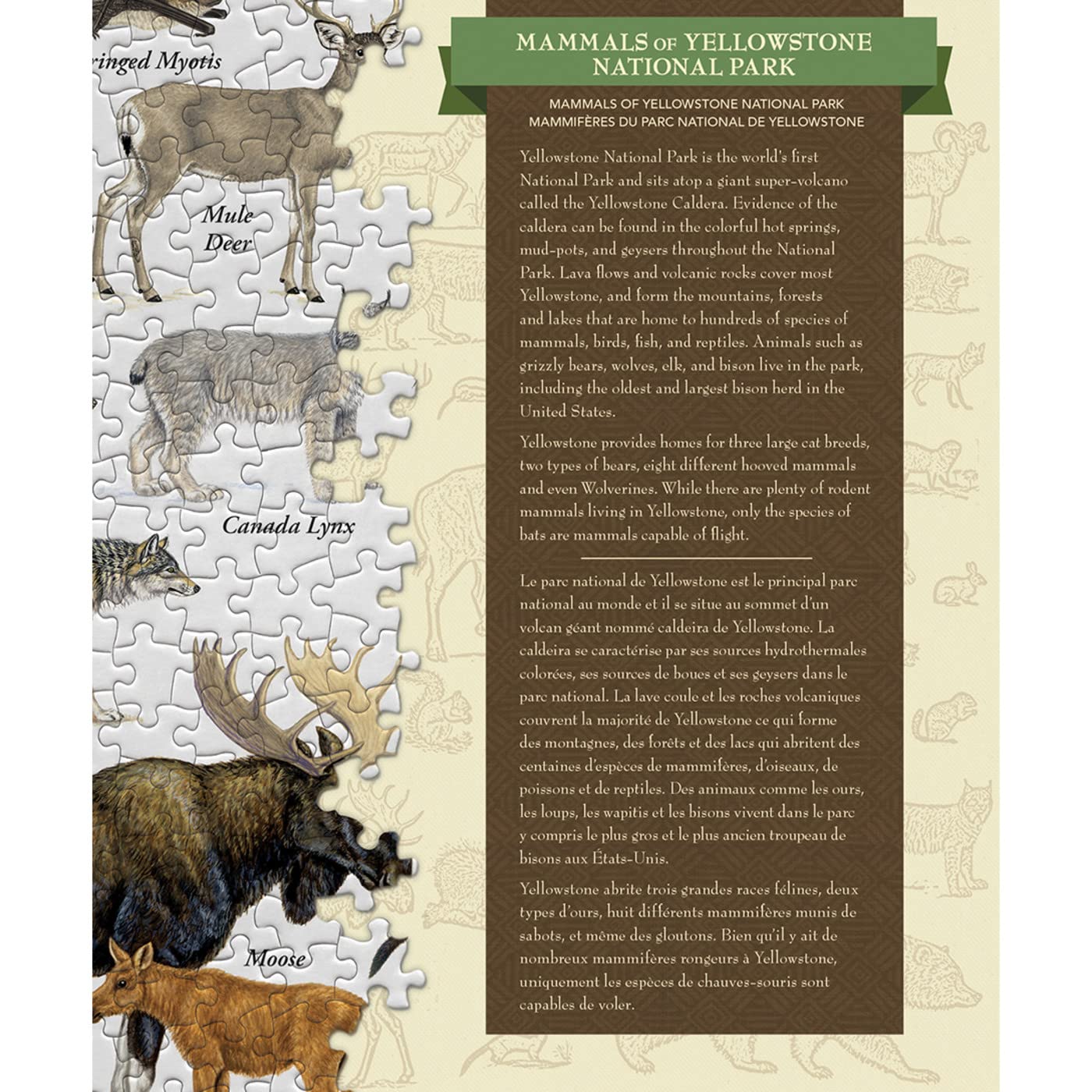 Masterpieces 1000 Piece Jigsaw Puzzle For Adults, Family, Or Youth - Mammals Of Yellowstone National Park - 19.25' X26.75