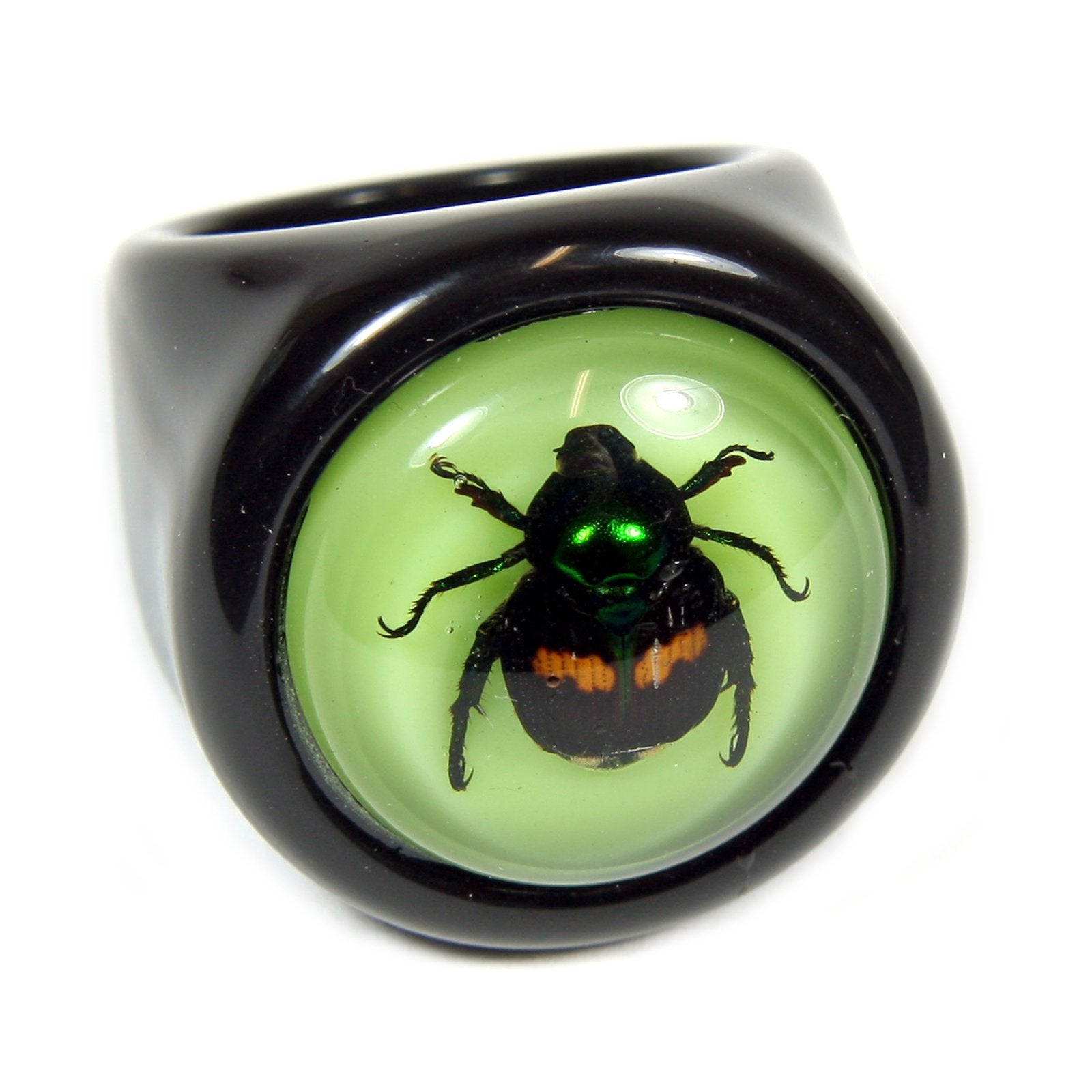 Lucky Beetle Black Ring Size 6