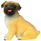 Pacific Trading Sitting Pug Puppy Figurine 3 Inch Multicolor