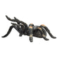 Mojo Red Kneed Tarantula Realistic International Wildlife Hand Painted Toy Figurine