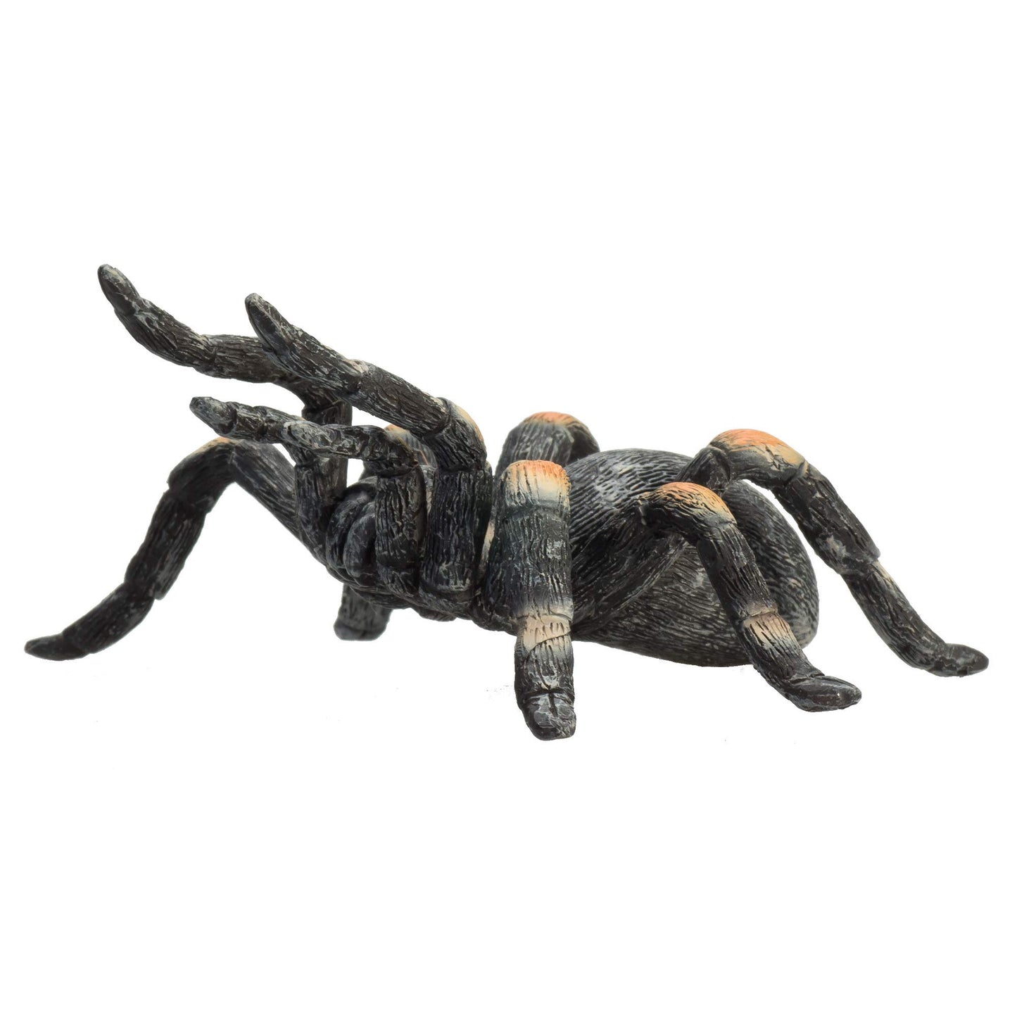 Mojo Red Kneed Tarantula Realistic International Wildlife Hand Painted Toy Figurine
