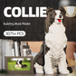HJPLPXH Animal Dog Adorable Pet Collie Building Block Set - Secret Small Storage Box Inside! Ideal Toy for Dog Lovers  Kids & mature-themeds.