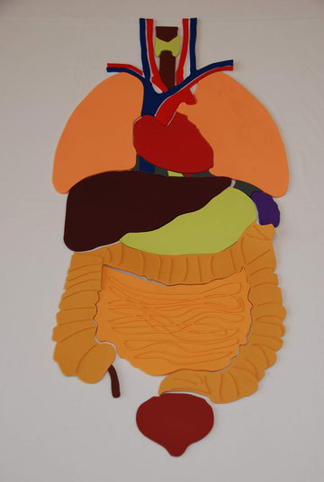 Everrich Organs Puzzles - 27.56' X 13.6' X 4 Mm