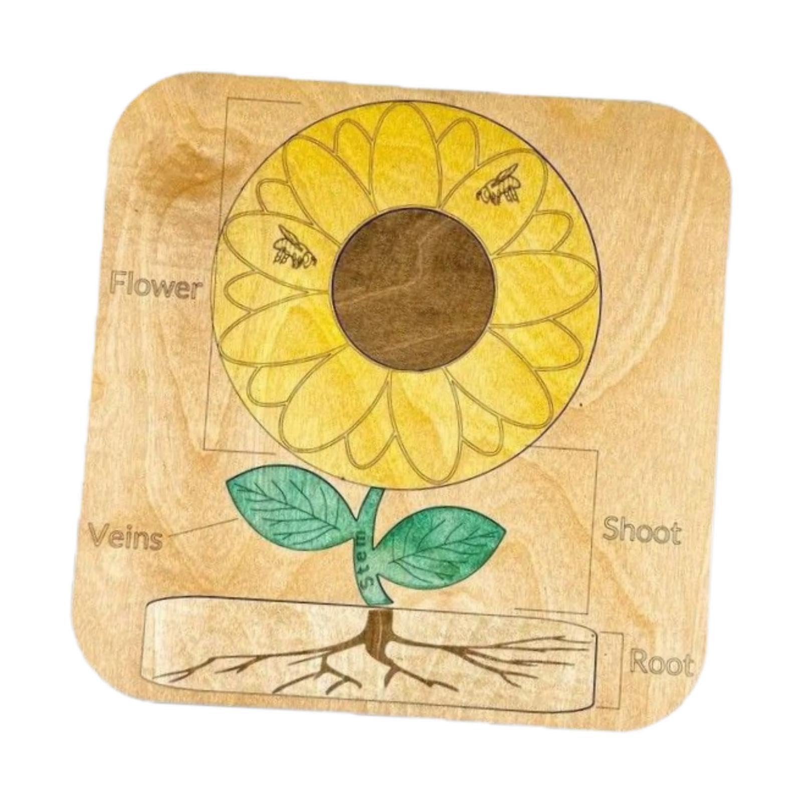 Club BollywoodWooden Sunflower Puzzle Fine Motor Skill Jigsaw Puzzle Colors Shapes Nursery|Toys & Hobbies|Puzzles|Contemporary P