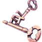 Magikon Traditional Brain Teaser, Classical Puzzle Magic Toy (Keys)