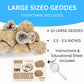 TRUENERGY Large Break Your Own Geodes 10 (2.5 -3.5) enhanced Easy to Open Geode with Crystals - Includes Magnifying Glass and Instructions  STEM Science Kit