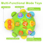 Holaxander Musical Ladybug Baby Toys 6-12 Months, Infant Early Educational Learning Crawling Toys For 1 Year Old Boy, Newborn Fi