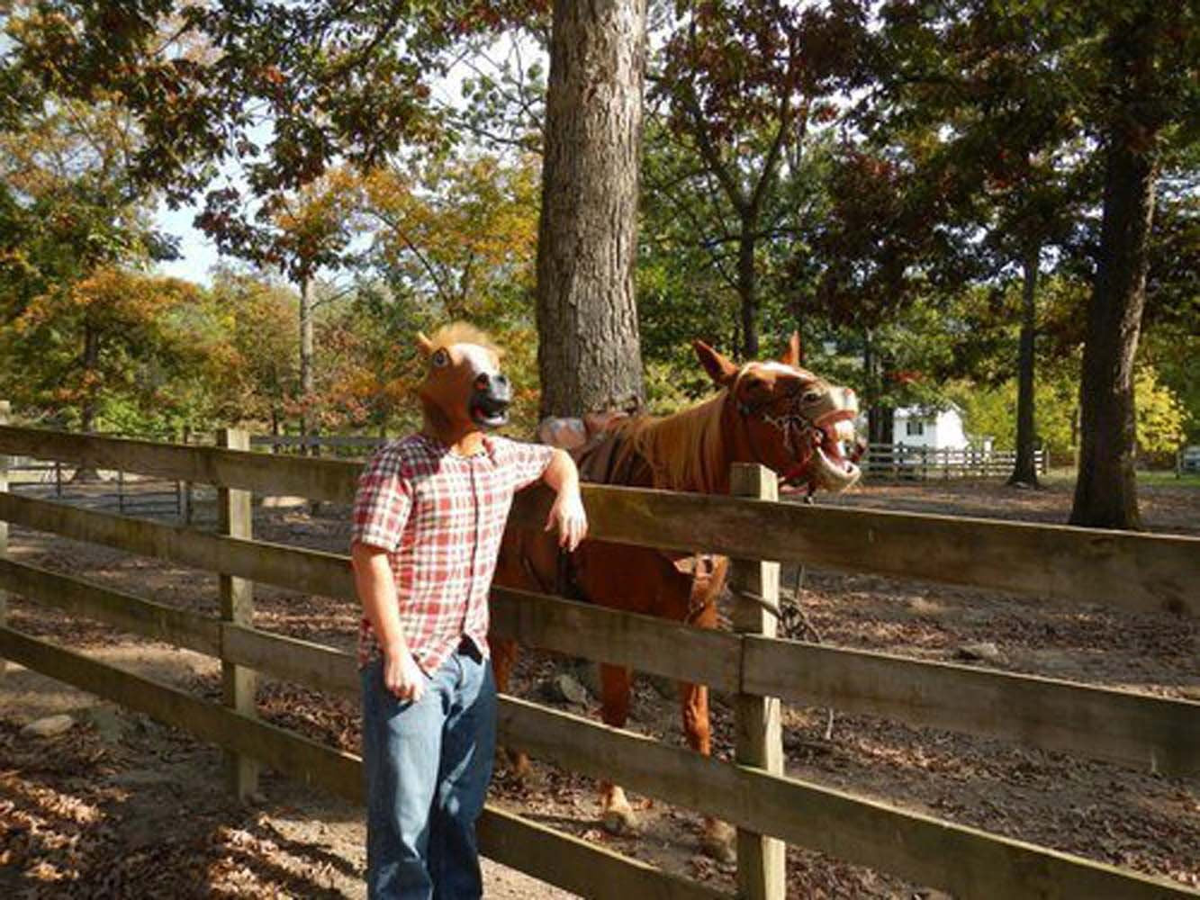 Archie McPhee Accoutrements Horse Head Mask