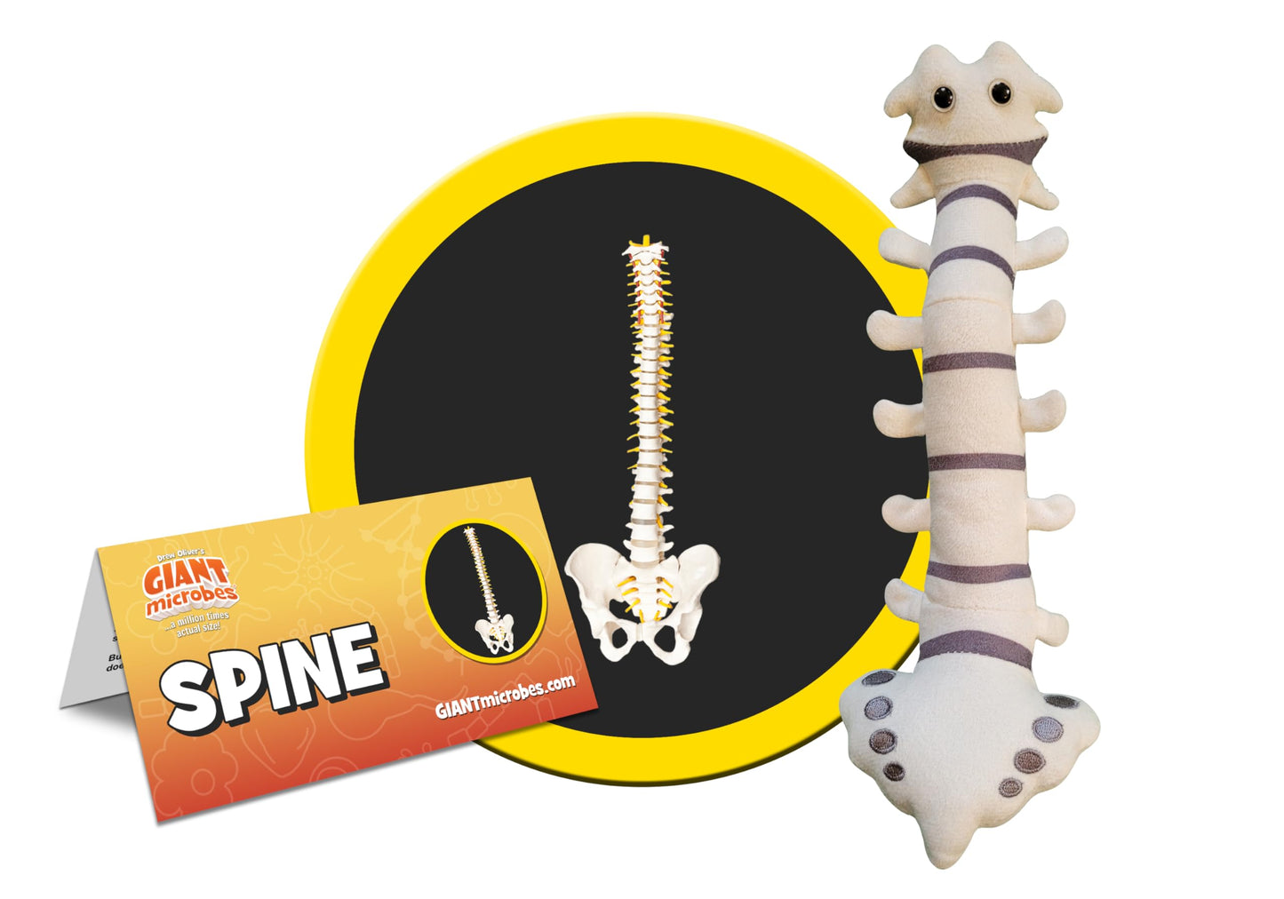GIANTmicrobes Spine Plush - Funny Back Surgery Recovery Gift, Neurology & Chiropractor Model, White Spine Surgeon Toy