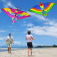 Kite, 2 Pack Kites For Kids Ages 4-8 8-12 & Adults, Easy To Fly Kite For Beginner, Kite With Kite String, Great For Outdoor Acti