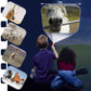 Brainstorm Toys Horse Flashlight And Projector