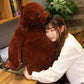 Djungelskog Bear 31.5 Inch - Soft And Giant Bear - Huggable And Cuddly Plush Toy - Ideal Gift For Kid Boy,Girl&Girlfriend - Supe