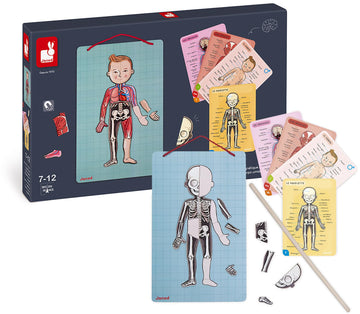 Janod Bodymagnet Educational Human Body Game - Anatomy, Organs, Skeleton, Muscles - 76 Magnetic Pieces - From 7 Years Old, 12 Languages, J05491 Includes 18 Cards, 76 Body Part Magnets And 1 Pointer Stick