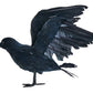 Worth Imports 10'' Feathered Crow, Black
