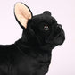 Boni 12.5 Inch Black Dog Stuffed Animal, French Bulldog Plush Stuffed Animals, Birthday Christmas Day Gifts For Child