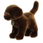 PBS Aurora, Chocolate Labrador 10 Plush