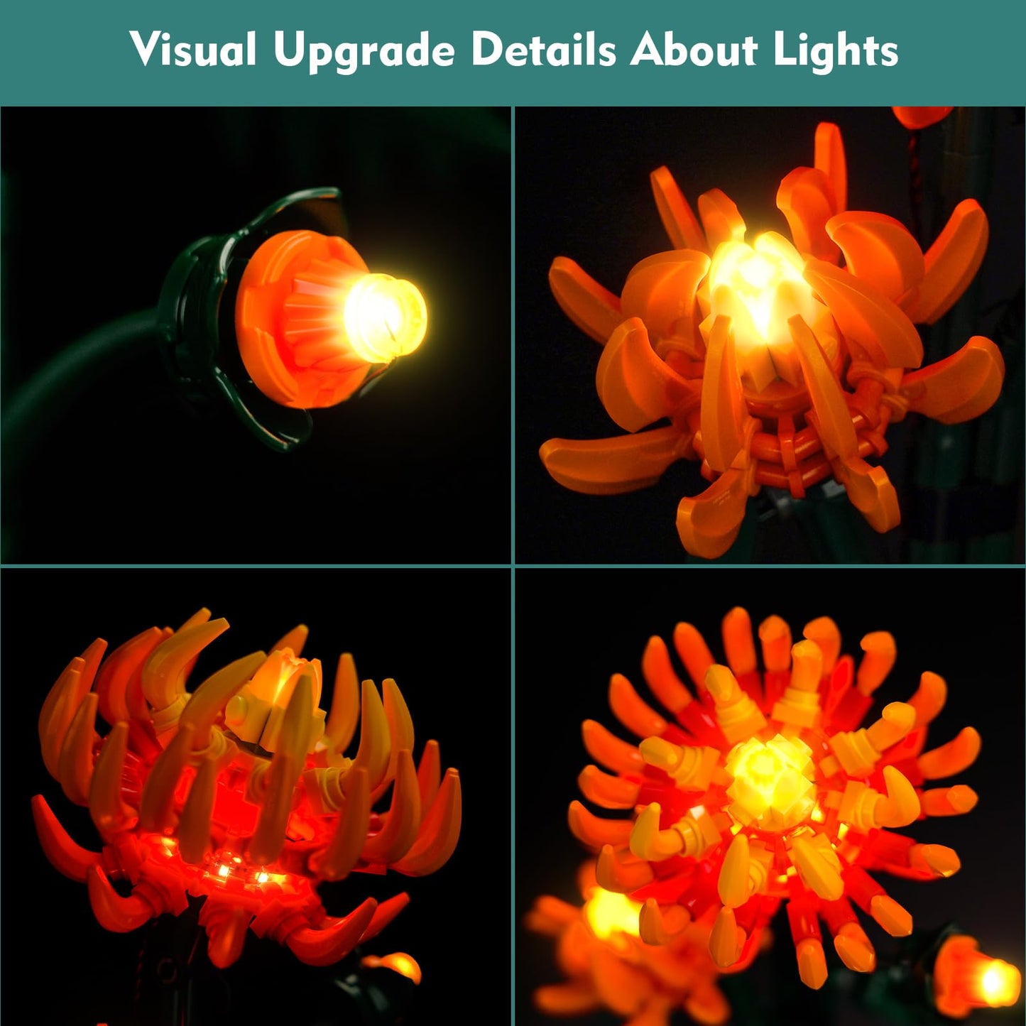 Locolee Light Compatible With Lego 10368 Chrysanthemums Botanical Collection - No Models Only Light, Lighting Accessories Compat