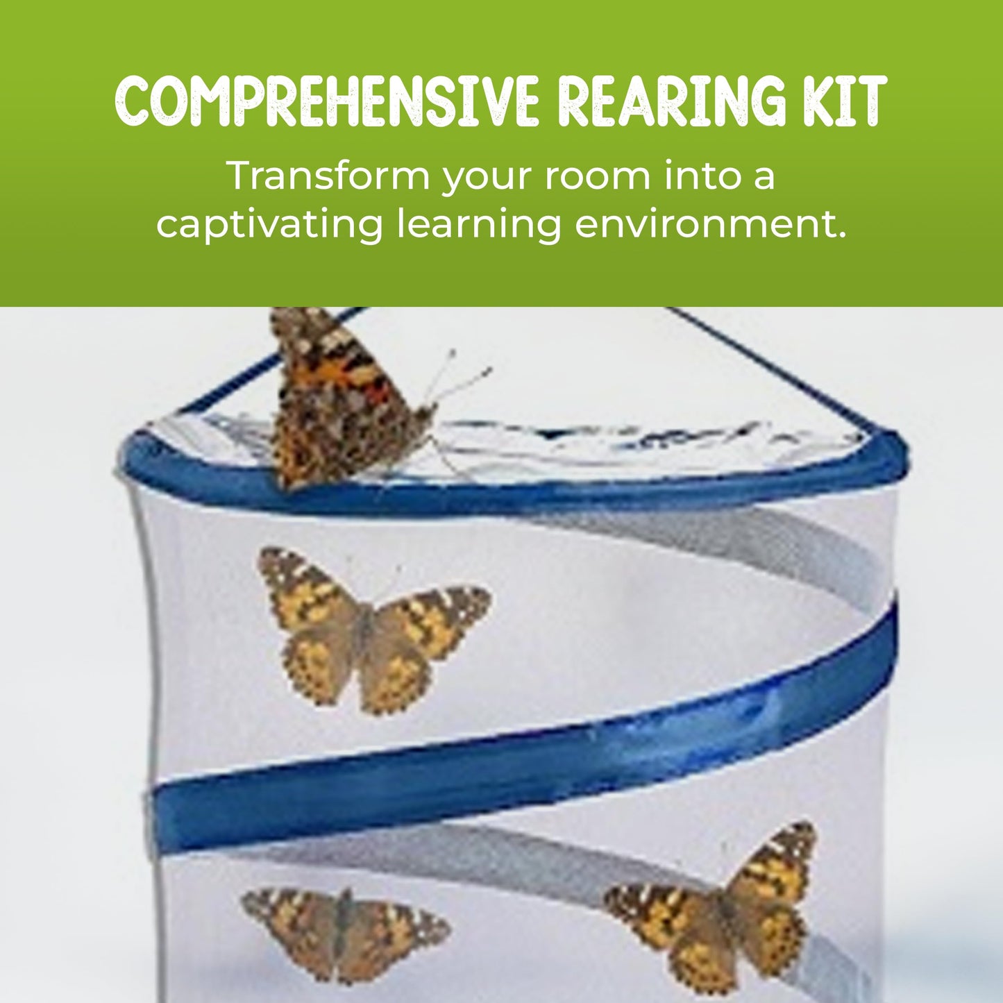 Nature Gifts Live Butterfly Kit - School-Sized Educational Experience With 32 Painted Lady Caterpillars - Pop-Up Cage, And Compr