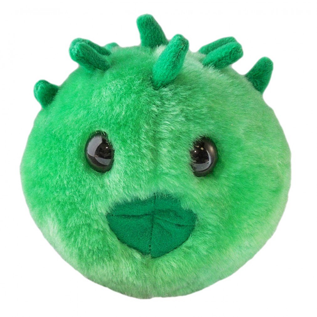 GIANTmicrobes Chlamydia Plush, STIs, STDs, Medical Gag Gifts Funny, OBGYN Gifts for Doctors, Infection Prevention Gifts, Infecti