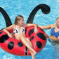 Poolmaster Lady Bug Inflatable Swimming Pool Party Float (48 Inch), Red, Black