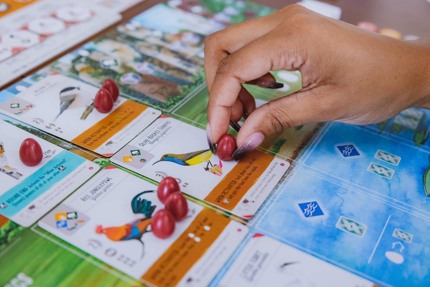 Stonemaier Games: Wingspan Asia | Standalone Game or Expansion to Wingspan (Base Game) | Great for Solo Play or 2 Player | Add t